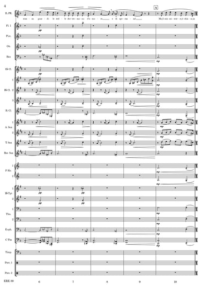 NESSUN DORMA